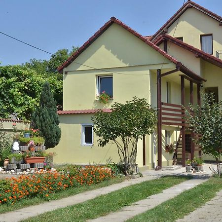 Hotel Vila Bel Ami Şelimbăr Habitación foto